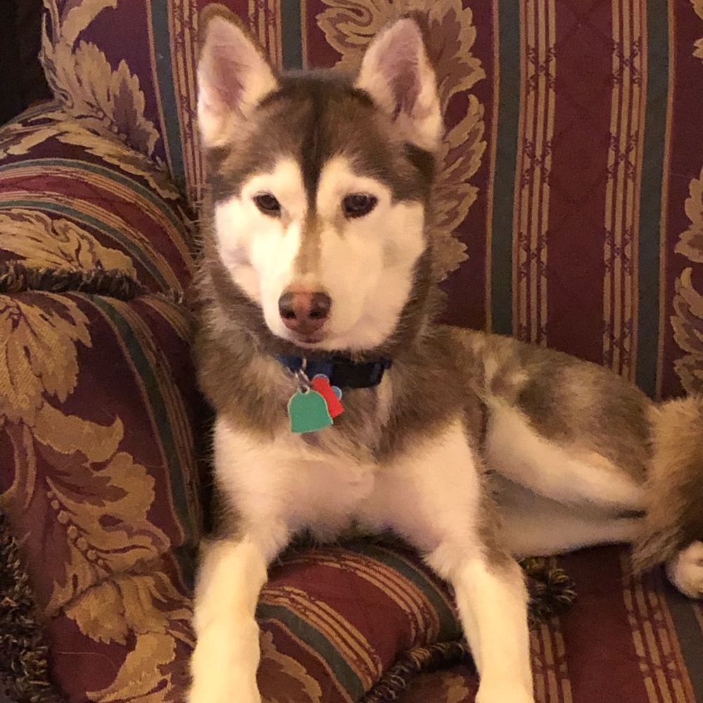 Meet your Posher, Lori